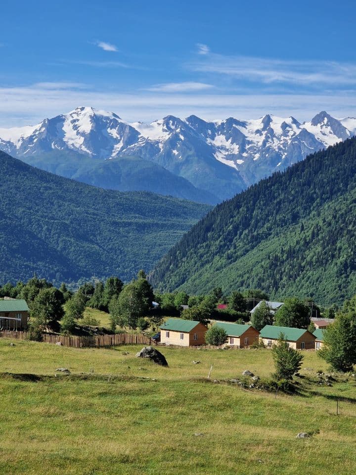 Up & Down Georgia 2025