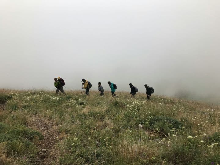 Up & Down Georgia 2025